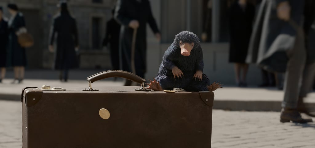 Fantastic Beasts and Where to Find Them 2 Photos