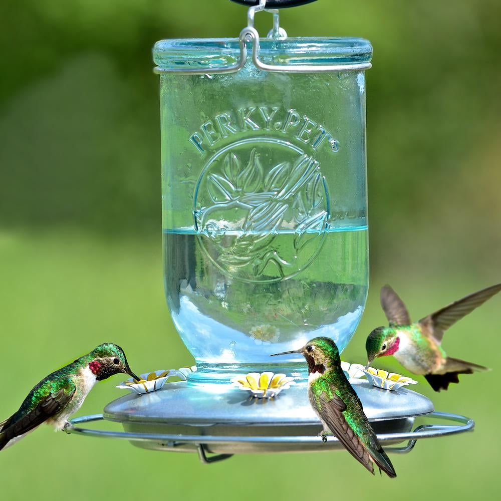 Perky-Pet Blue Mason Jar Decorative Glass Hummingbird Feeder