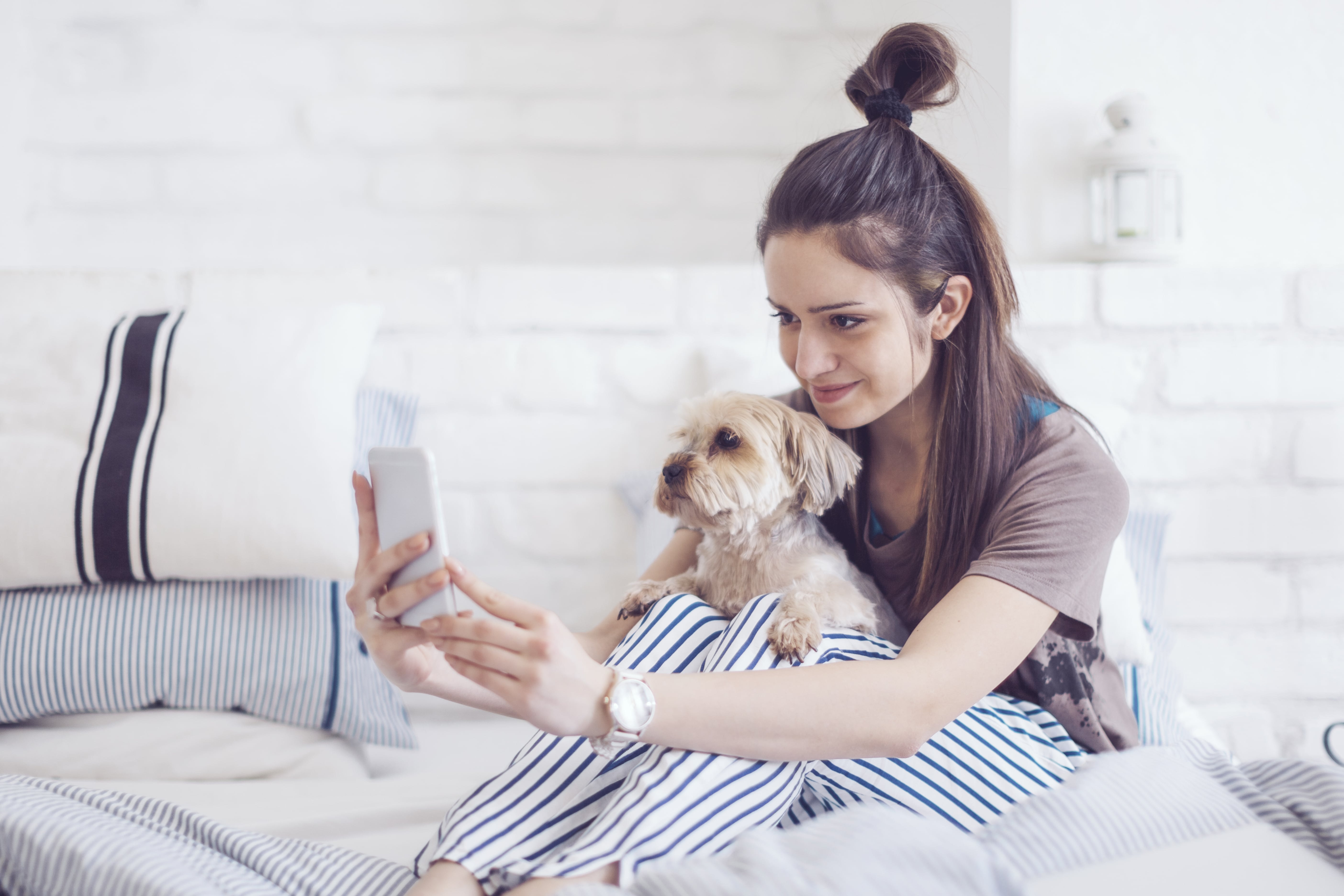 Do Dogs Understand Phone and Video Calls? POPSUGAR Pets