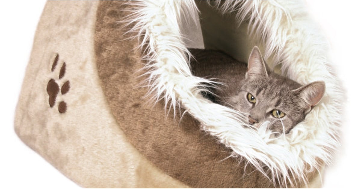 Pretty Pet Products Popsugar Pets
