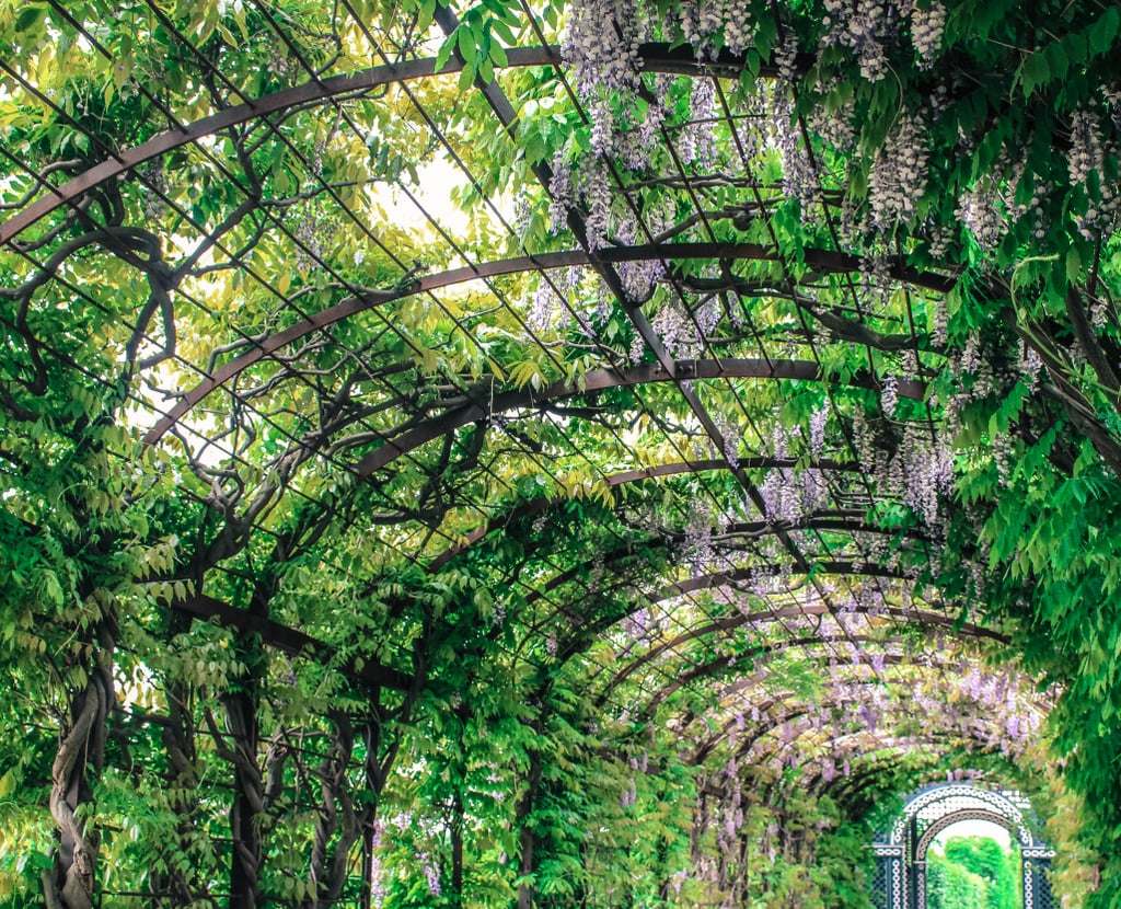 When making your way there, don't forget to stop by the gardens and infamous tree tunnel.