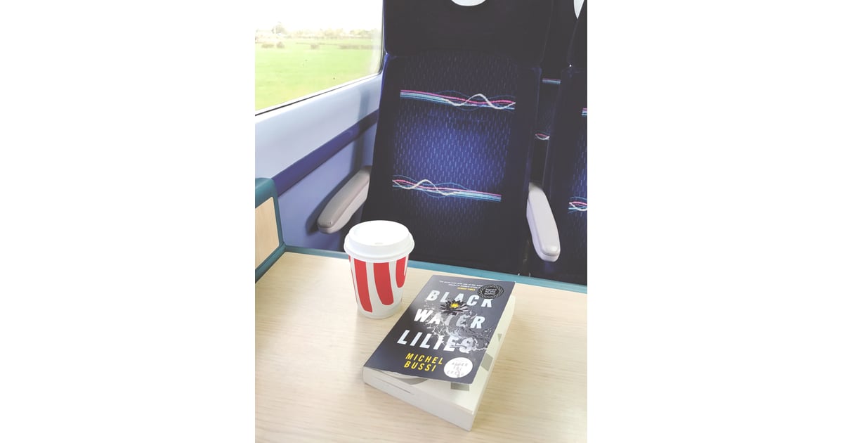 Black Water Lilies By Michel Bussi 6 Mysteries And Thrillers I Ve Been Recommending To All My Friends This Summer Popsugar Entertainment Photo 3 The international bestseller 'ends with one of the most reverberating shocks in modern crime fiction' the sunday times '.