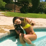 We Can't Decide What's Cuter: Zendaya's Puppy or Her Bright Yellow Bikini