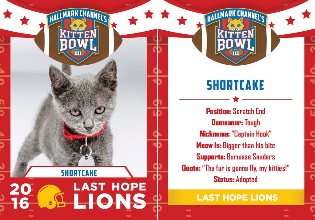 Kitten Bowl 2016