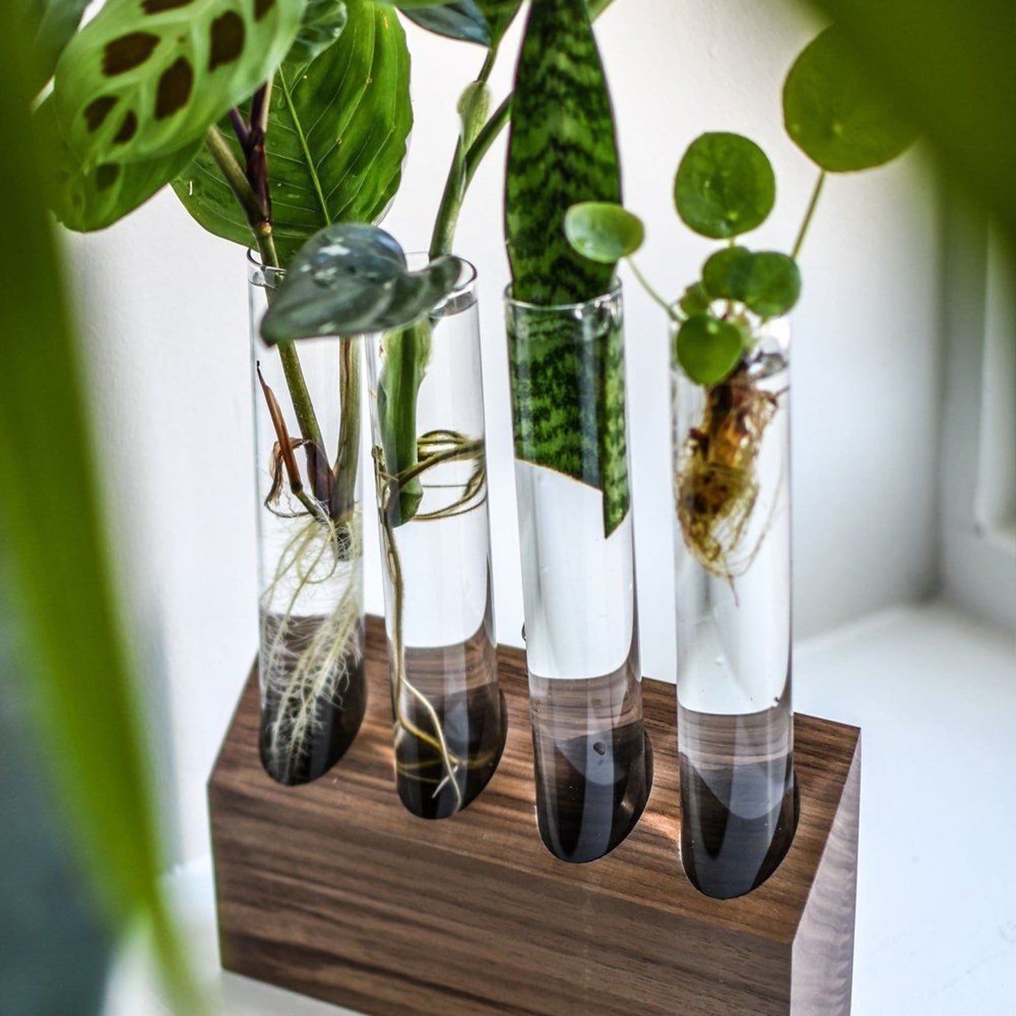 Best gifts top for gardeners