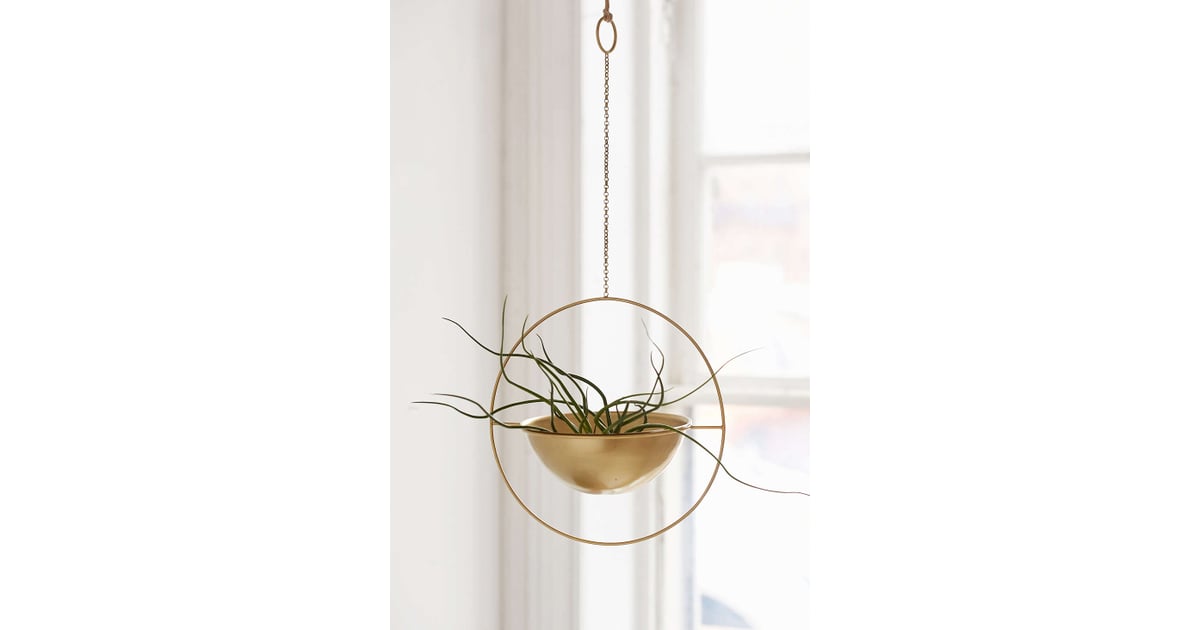 The Coolest Hanging Planter Sept. Home Products 2015 POPSUGAR