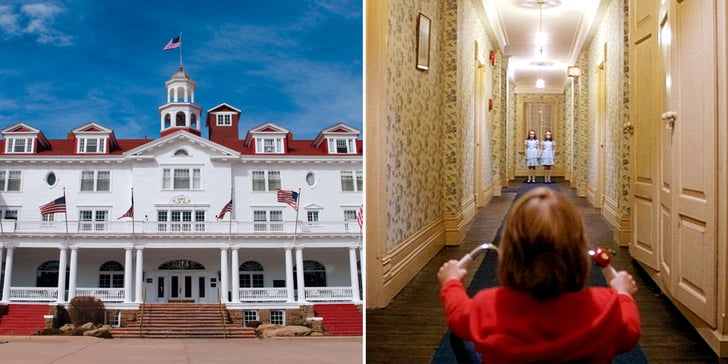 are dogs allowed at the stanley hotel