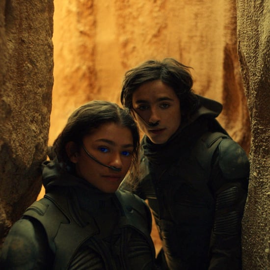 Dune: Paul Atreides and Chani's Relationship, Explained