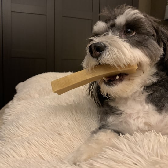 Why Me and My Dog Love the Himalayan Dog Chews | Review