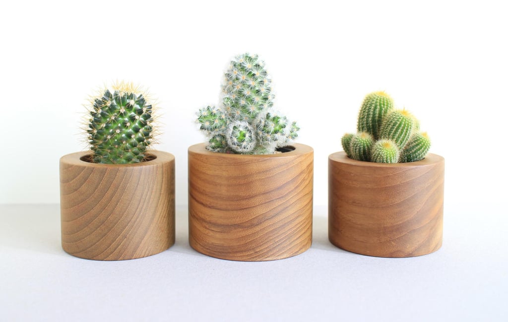 Teak Wood Planters