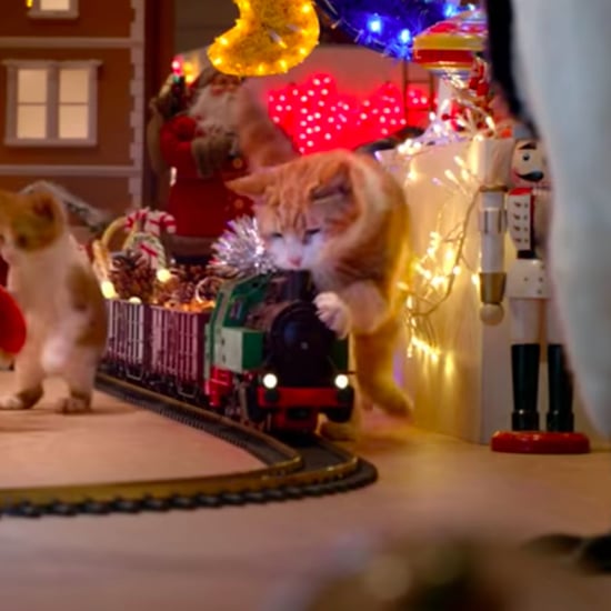 Temptations Cat Christmas Commercial POPSUGAR Pets