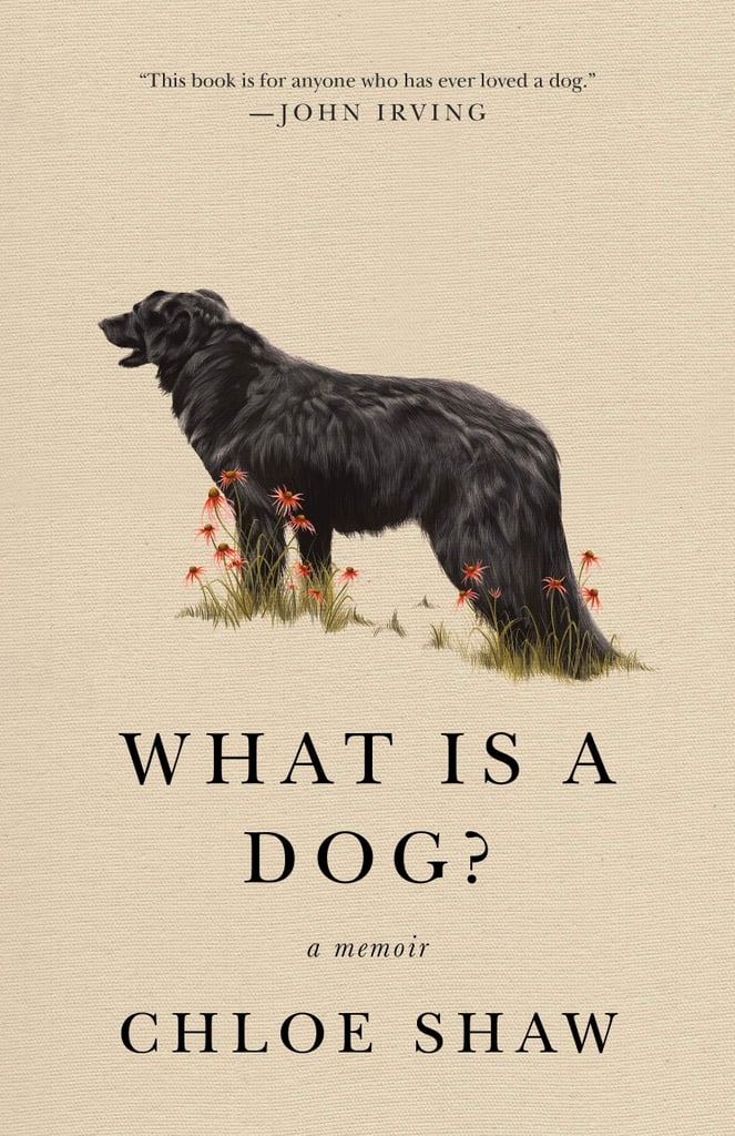 What Is a Dog? by Chloe Shaw