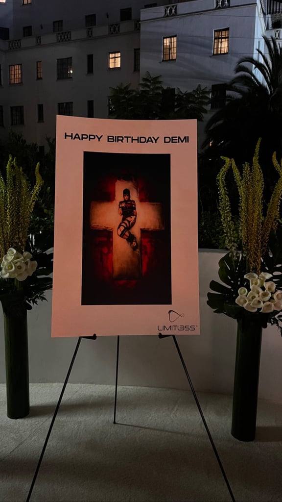 Demi Lovato's 30th Birthday Party Photos