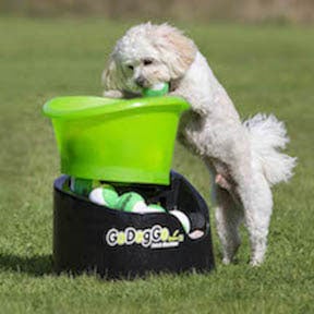 Go Dog Go Ball Launcher ($140)