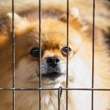 Crate Your Day, Maybe Aren't