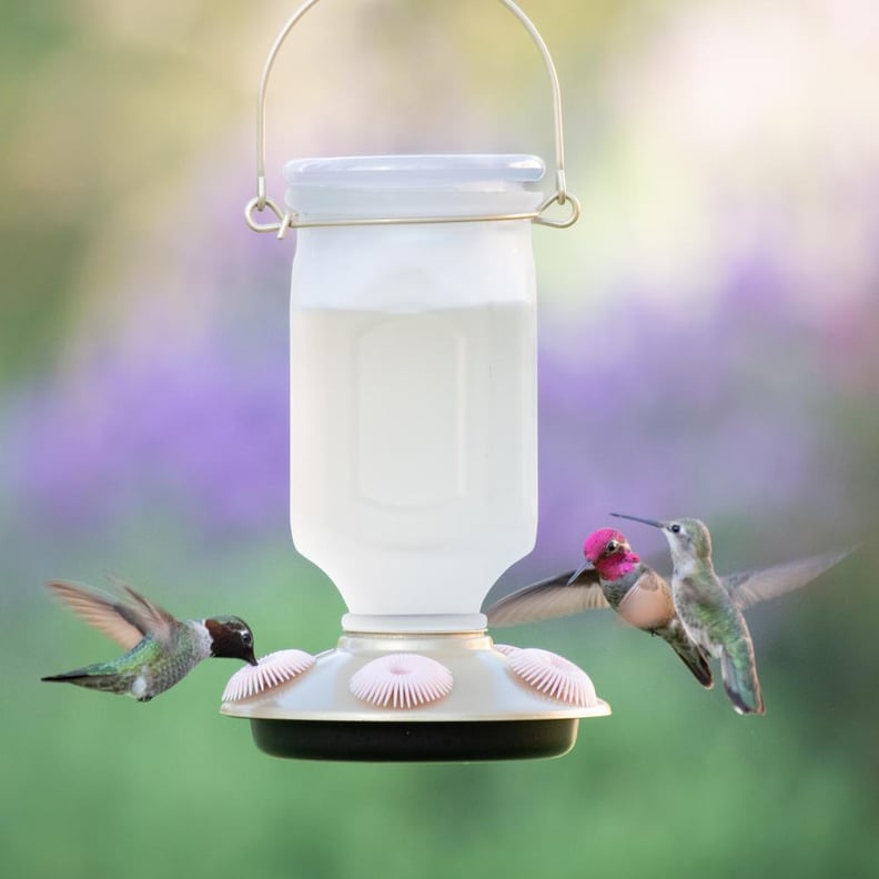 A Wide-Mouth Feeder: Perky-Pet Sun-Kissed Top-Fill Decorative Glass Hummingbird Feeder