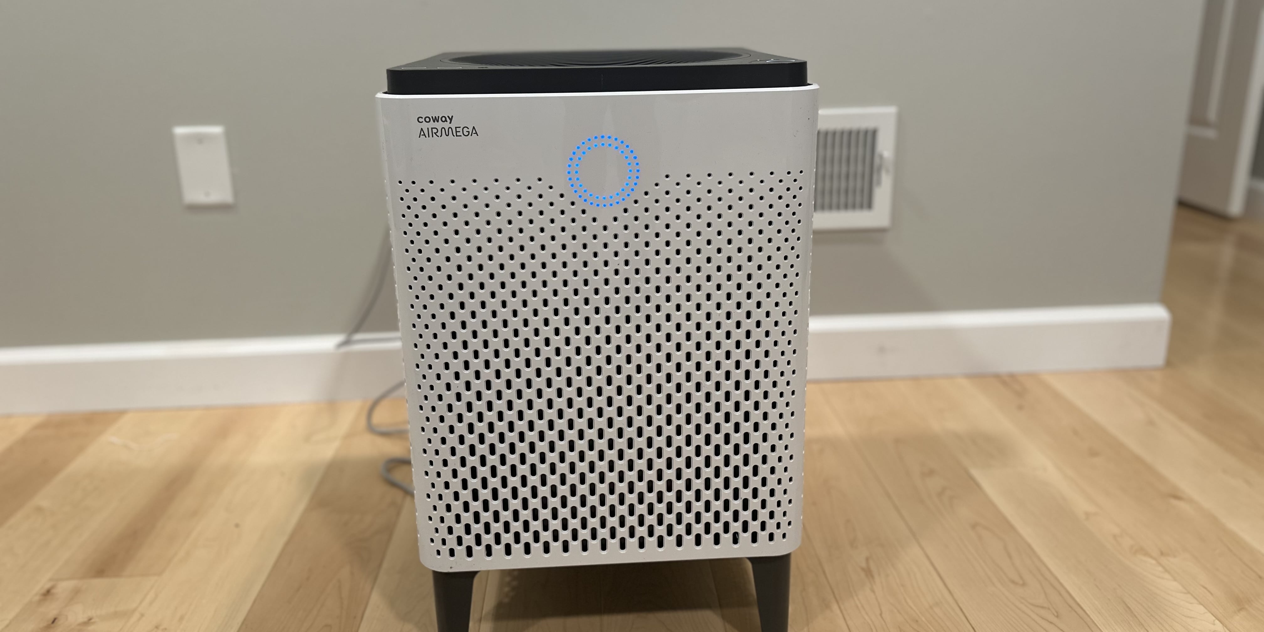 I'm Allergic to Pollen, and This Air Purifier Helps Me Breathe Easy