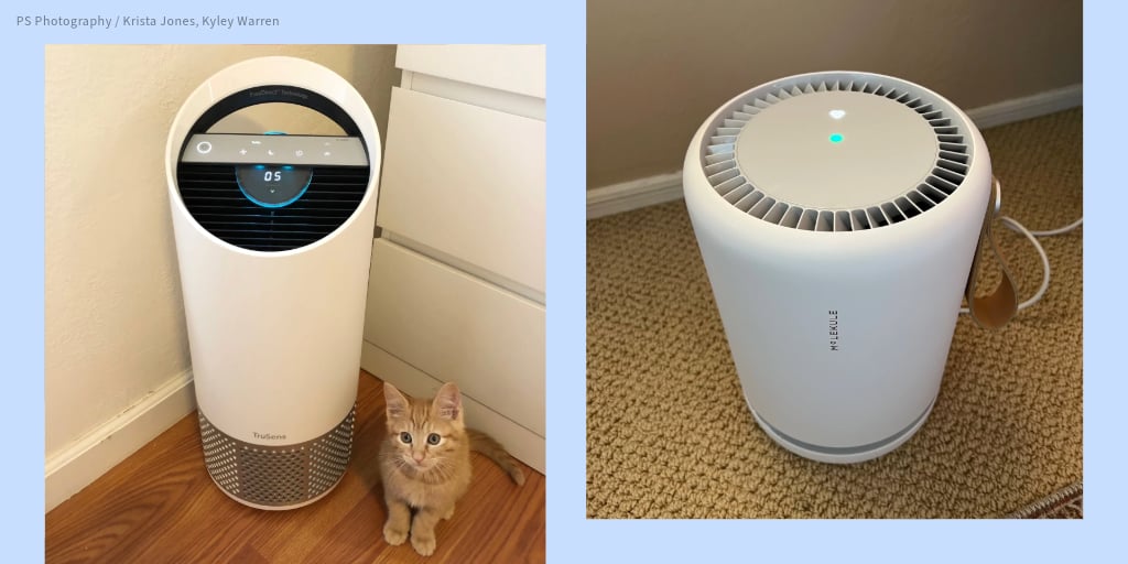 Best and Top Rated Air Purifiers PS Smart Living