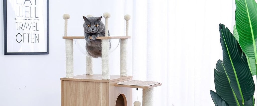 Cat Trees That Aren't Ugly and Look Great in Your Home