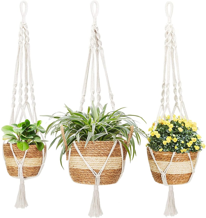 JOFAMY 3 Pack Ceramic Hanging Planters for Indoor Plants - 4 Inch Plant  Hanger Wall Decorative Flower Pot with Drainage Hole Cotton Rope for  Succulents, Cactus, Herbs Home Decor