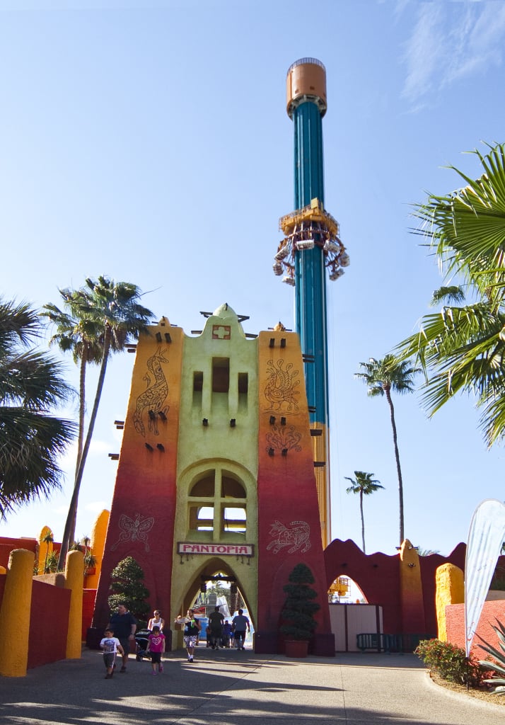 Falcon's Fury (Busch Gardens, Tampa, FL)