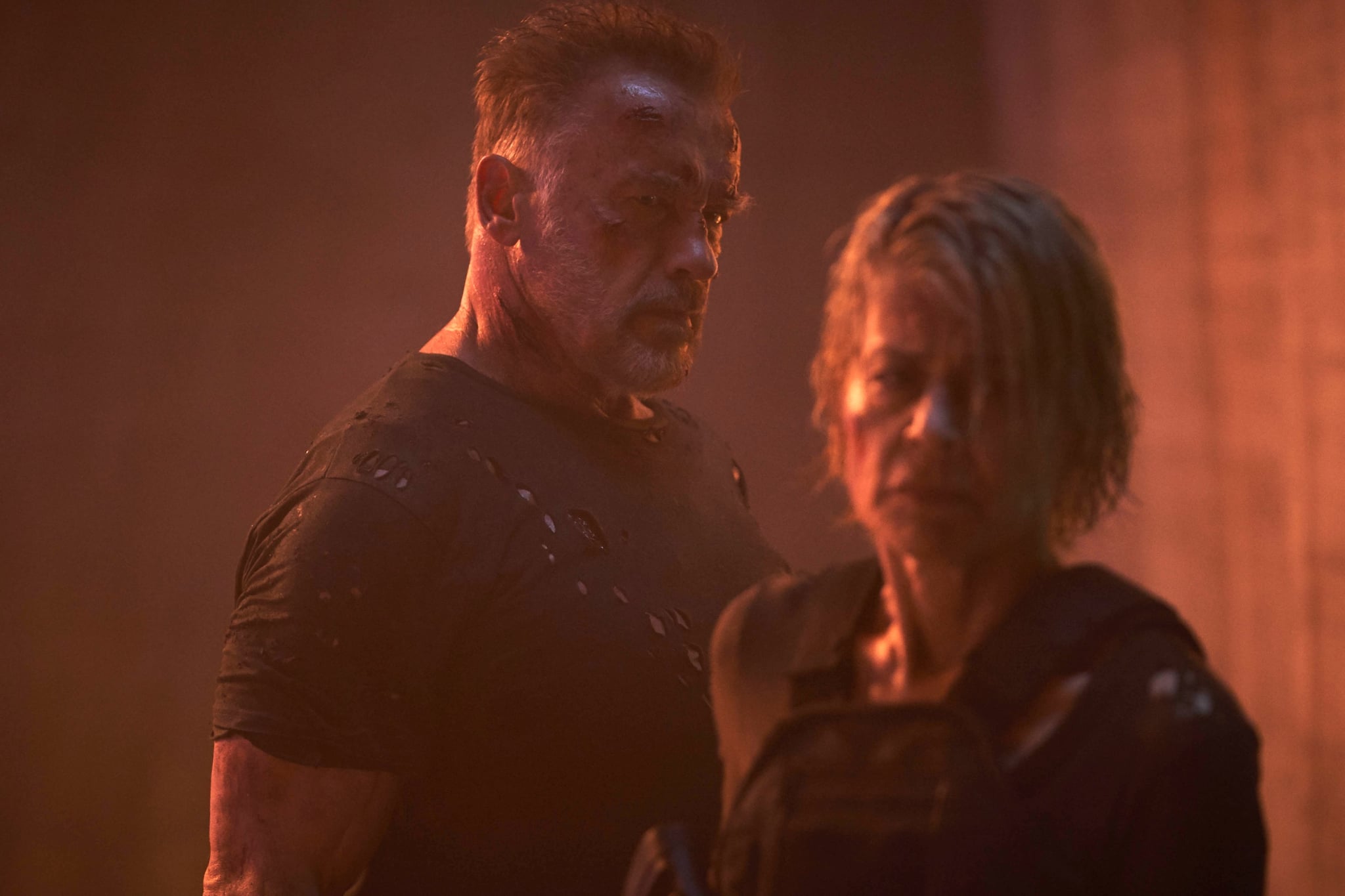 TERMINATOR: DARK FATE, from left: Arnold Schwarzenegger, Linda Hamilton, 2019. ph: Kerry Brown /  Paramount / courtesy Everett Collection