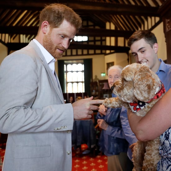 Prince Harry Meeting With Dr. Jane Goodall July 2019