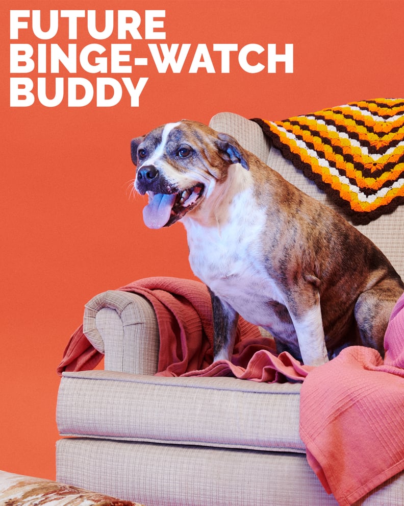 Oscar, Future Binge-Watch Buddy