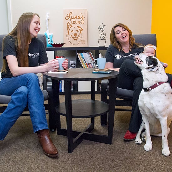 Wondercide Creators on Shark Tank