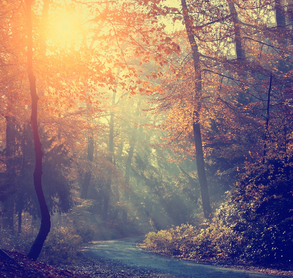 See It: Run Outside