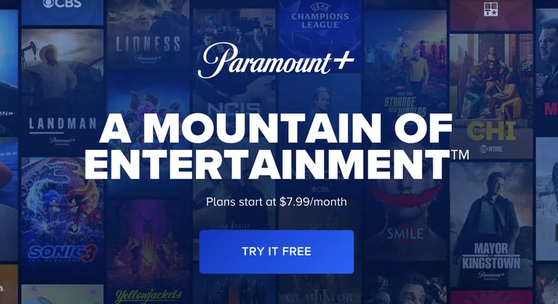 A Streaming Service Subscription