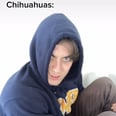 I Am Straight-Up Cackling at This TikToker's Impression of Different Dog Breeds