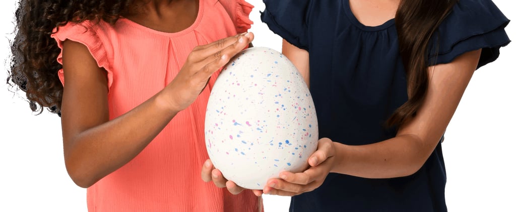 What Are Hatchimals's HatchiBabies?