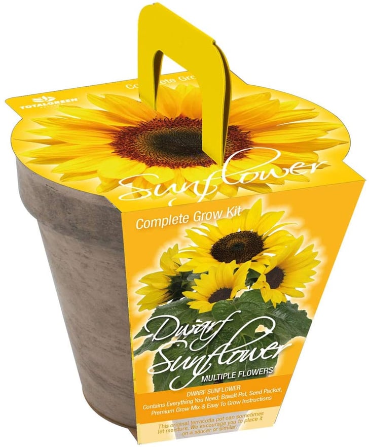 Sunflower Where to Buy Edible Garden Plants Online POPSUGAR Home