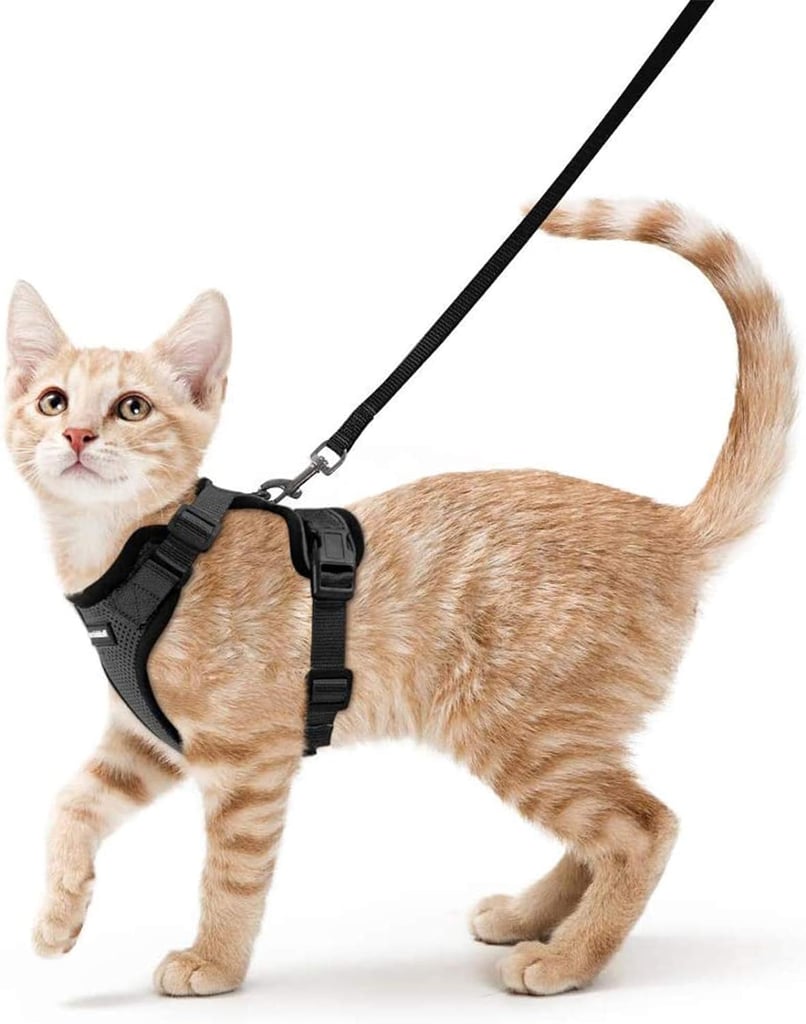 Rabbitgoo Cat Harness