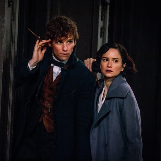 Harry Potter and Fantastic Beasts Romantic Connection