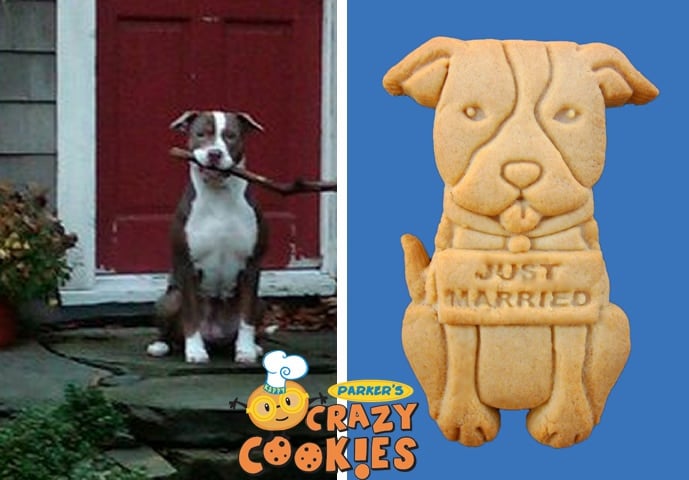 Custom “Just Married” Doggy Cookies