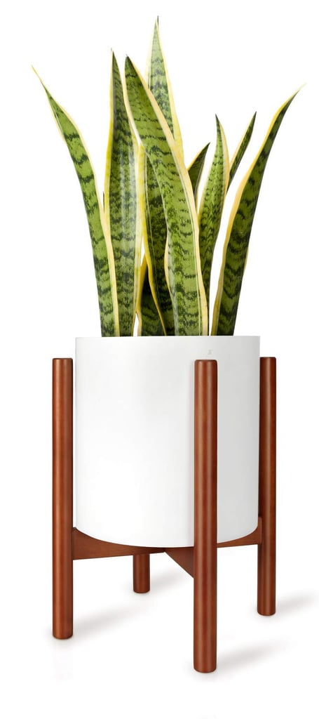 A Midcentury Stand: Plant Stand