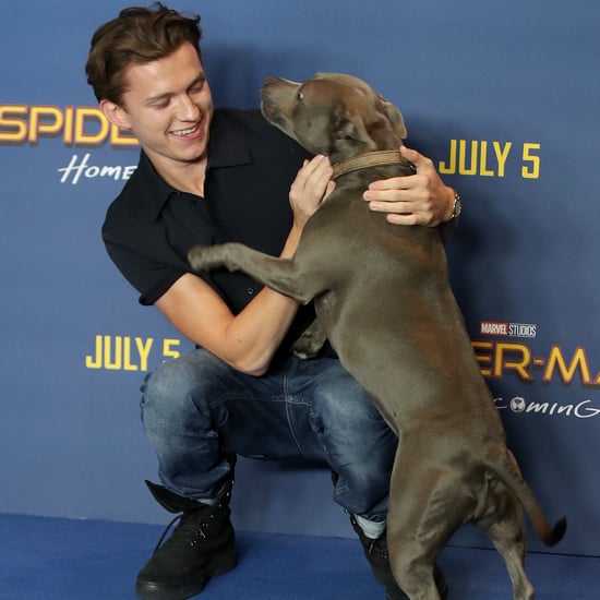 Tom Holland With His Dog Pictures