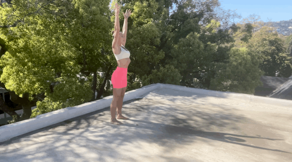 Plank Walkout