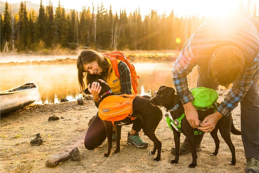 Approach Dog Pack Best Travel Products For Pets POPSUGAR UK