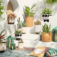 The New Opalhouse x Jungalow Collection at Target Is Here to Refresh Your Home For 2022