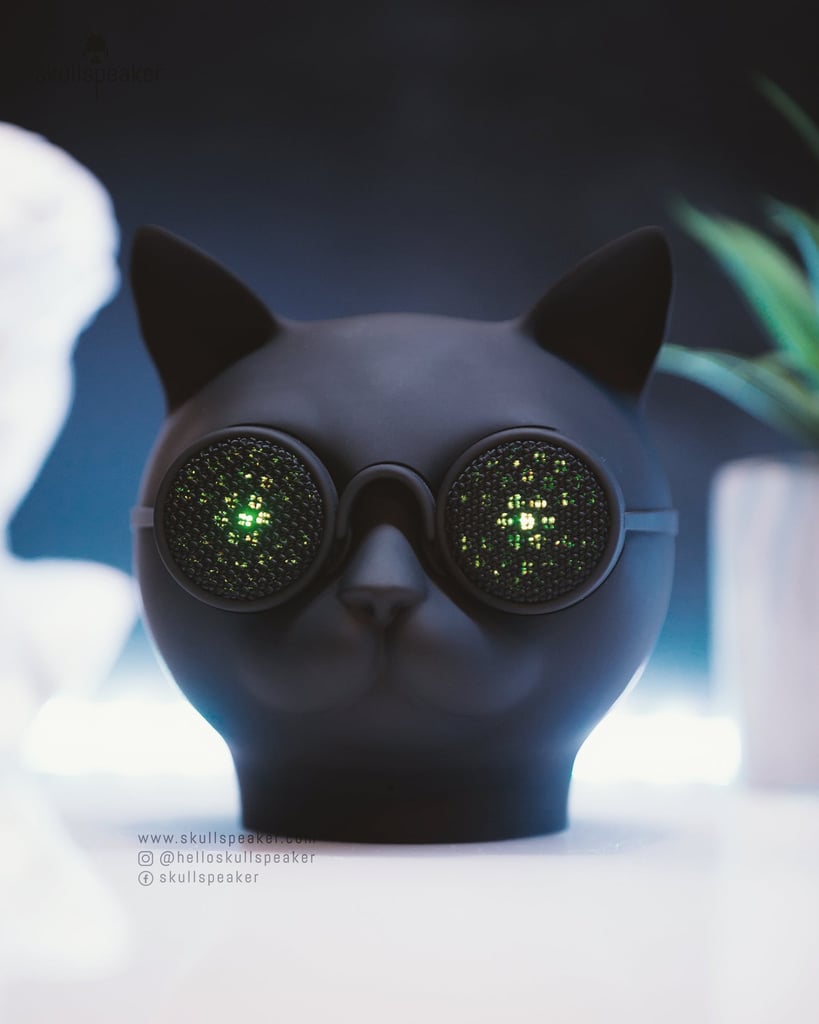 A Sleek Bluetooth Speaker: Purrrfect Speaker