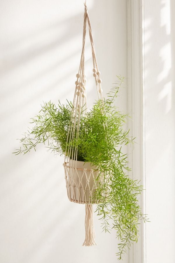 Urban Outfitters Ira Hanging Planter