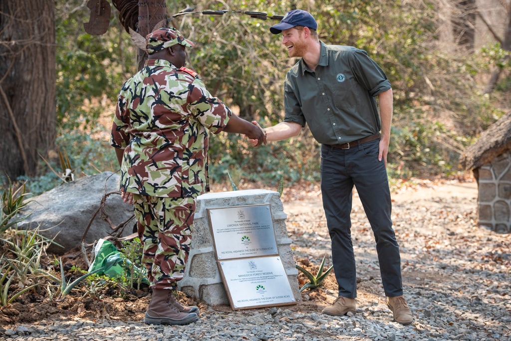 Photos of Meghan Markle and Prince Harry's South Africa Tour