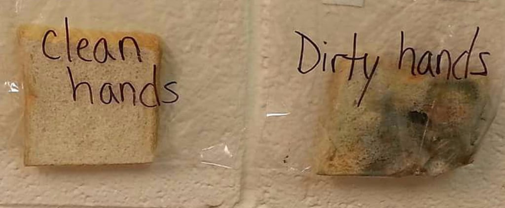 Teacher Used Bread to Show What Happens When You Don't Wash Your Hands — the Results Are Foul