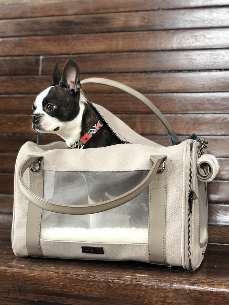 GUCCI Beige Dog Travel Bag - Dog Insider  Cool Products & Reviews For Dog  Parents