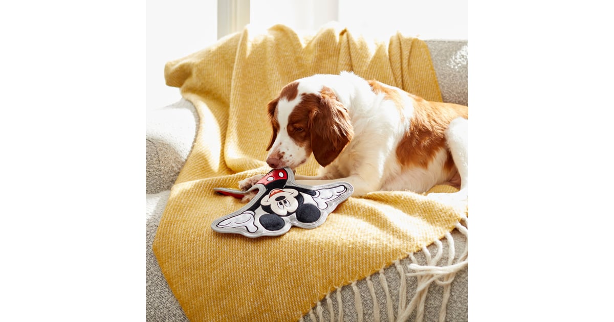 Mickey Mouse Flat Plush Squeaky Dog Toy You Can Find the Best Disney