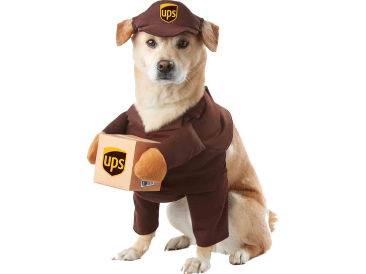 UPS Delivery Driver Dog Costume Pet Costumes POPSUGAR Smart Living