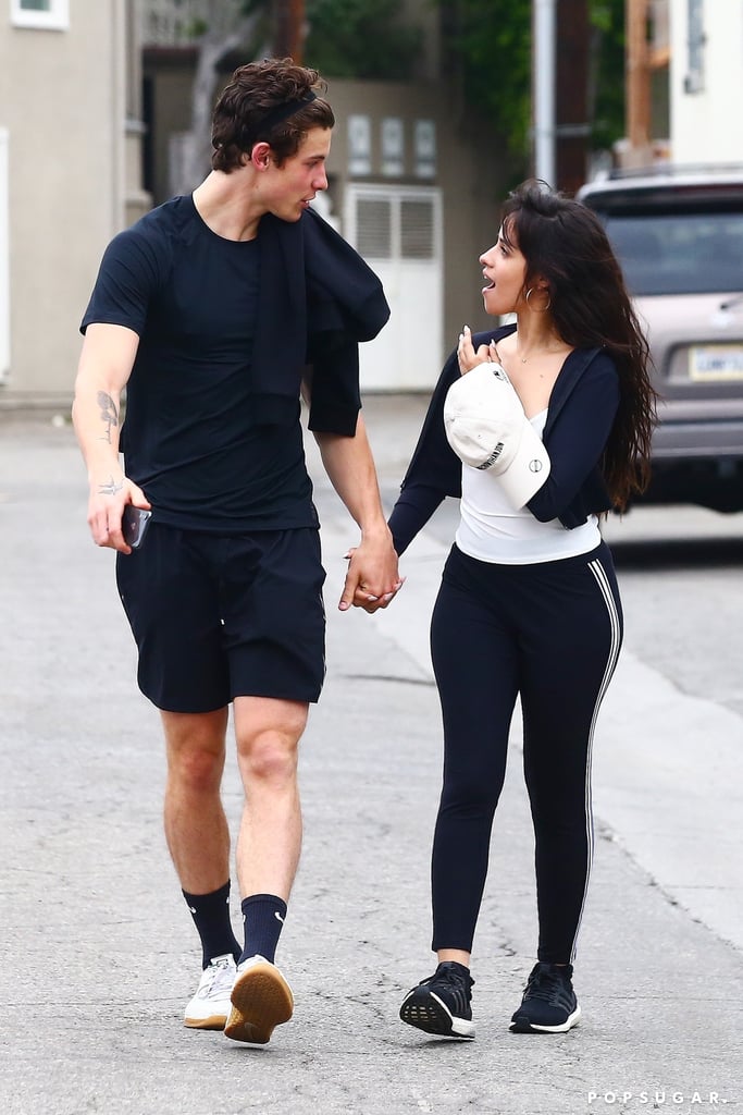 Are Shawn Mendes and Camila Cabello Dating?